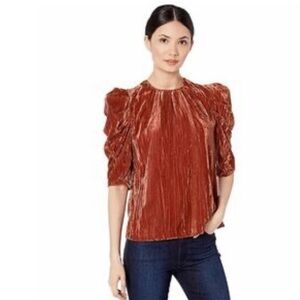 Leyden Cinnamon Crushed Velvet Puff Sleeve Textured Burnt Orange Stripe Blouse